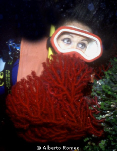 The she diver watching a red gorgonian by Alberto Romeo 